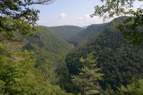 23-buffalo-pine-creek 011