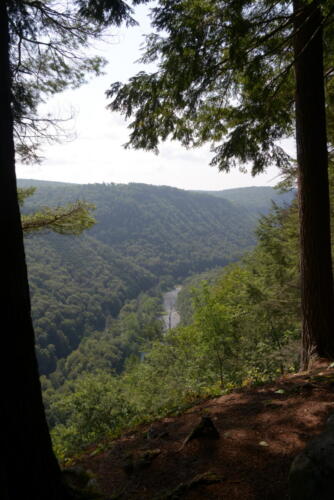 23-buffalo-pine-creek 016