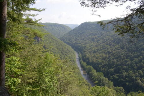 23-buffalo-pine-creek 017