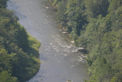 23-buffalo-pine-creek 019