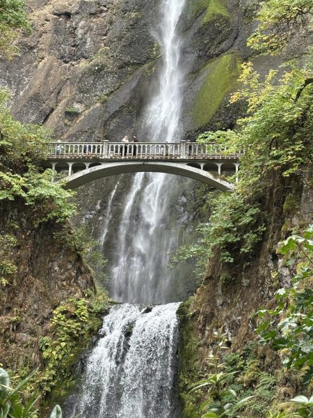 2025-Portland-Falls 23